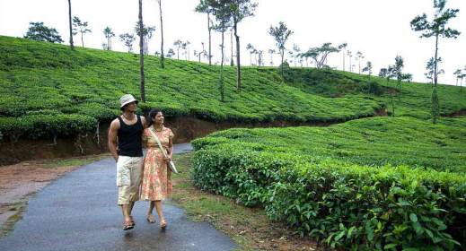 The Coffee Plantations of Coorg | Coorg "The Scotland of India"